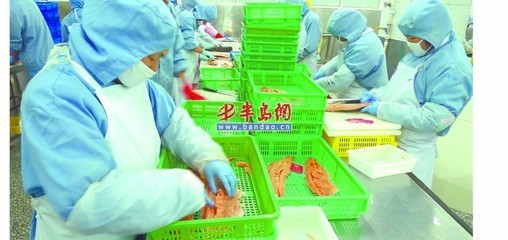 歐美需求激增，青島海產品加工企業全力以赴趕訂單