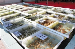 南澳海鮮餐廳推新模式 取消加工費，強化銷售品質承諾